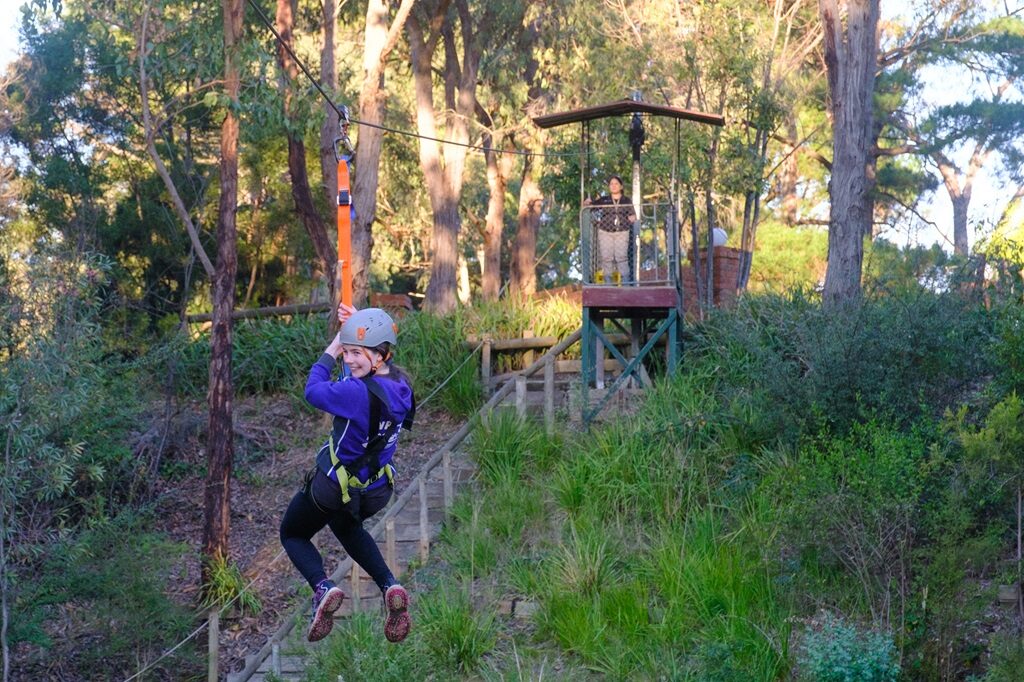 The flying fox course